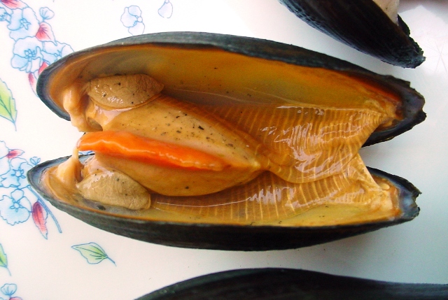 Almeja de Agua Dulce