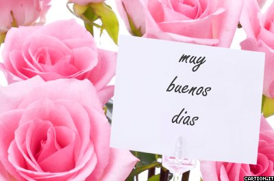Imágenes de flores para el día de - BANCO DE IMAGENES