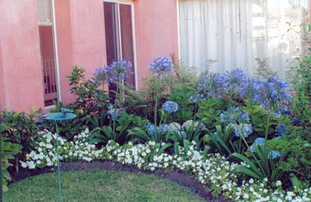 Pequeño jardín en blanco y azul-morado | Página 2